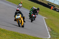 PJ-Motorsport-2019;anglesey-no-limits-trackday;anglesey-photographs;anglesey-trackday-photographs;enduro-digital-images;event-digital-images;eventdigitalimages;no-limits-trackdays;peter-wileman-photography;racing-digital-images;trac-mon;trackday-digital-images;trackday-photos;ty-croes